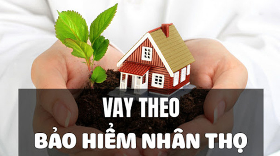 Vay tín chấp theo bảo hiểm nhân thọ